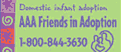Friends in Adoption