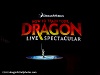 View: How To Train Your Dragon Live Spectacular